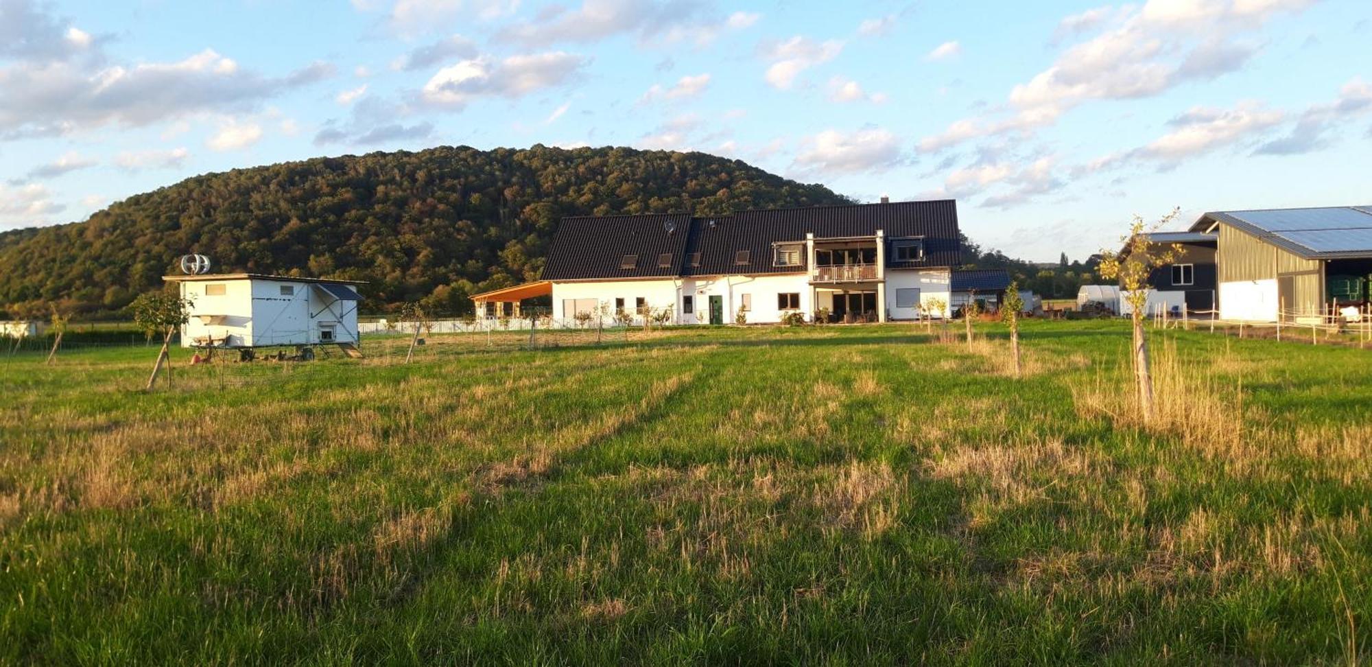 Ferienwohnung Wilhelmshof Sinzig Buitenkant foto